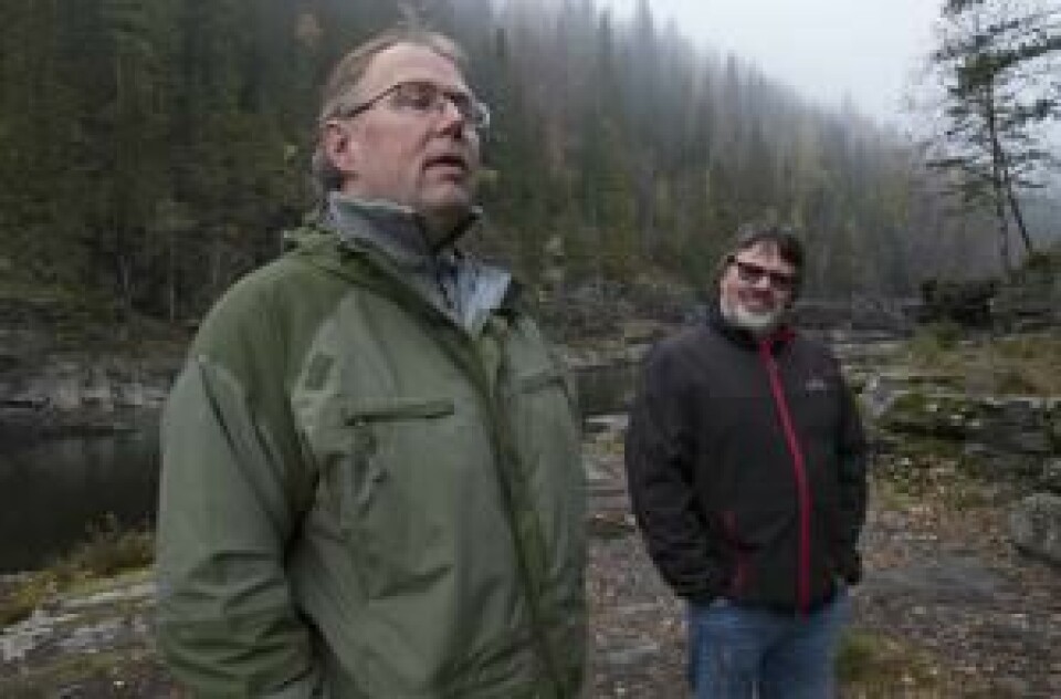 Oddgeir Jørstad, leder sone 1 og Svein Løken, leder av Lågen Fiskeelv ønsker å legge til rette for skarvejakt for å beskatte «den fjærkledde ulven».