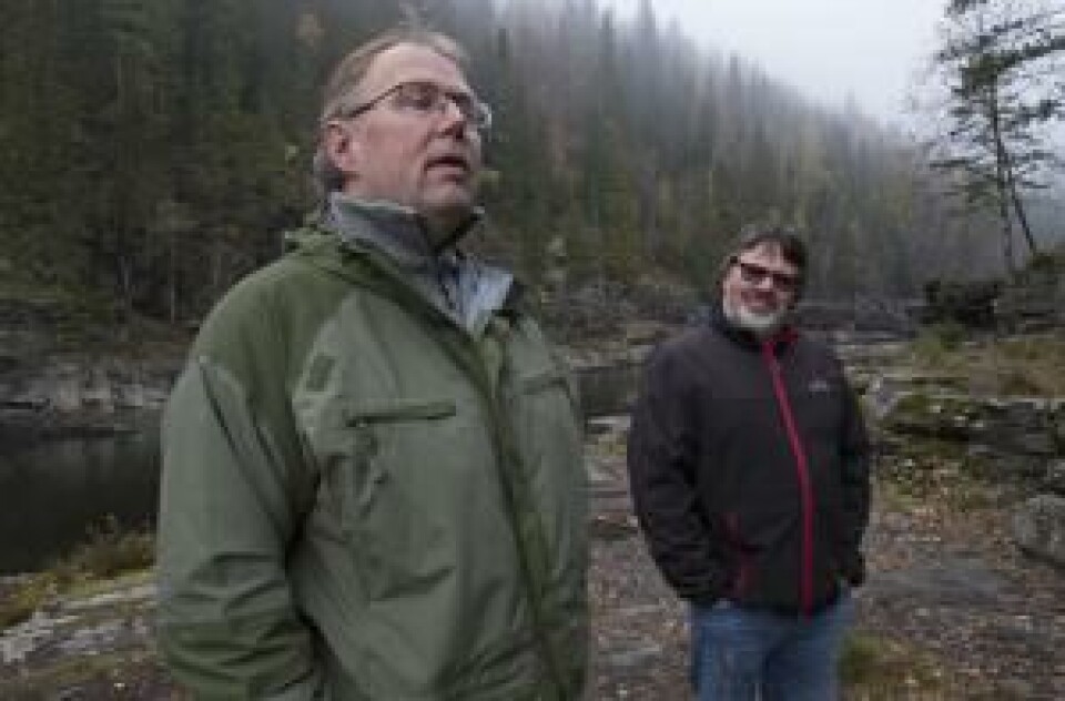 Oddgeir Jørstad, leder sone 1 og Svein Løken, leder av Lågen Fiskeelv ønsker å legge til rette for skarvejakt for å beskatte «den fjærkledde ulven». Oddgeir Jørstad, leder sone 1 og Svein Løken, leder av Lågen Fiskeelv ønsker å legge til rette for skarvejakt for å beskatte «den fjærkledde ulven».