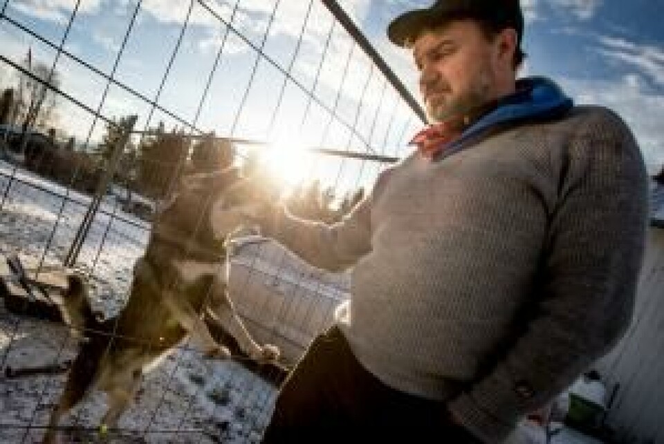 – Hadde det ikke vært for ulven, så hadde jeg dratt til skogs i dag, sier Sveen. – Hadde det ikke vært for ulven, så hadde jeg dratt til skogs i dag, sier Sveen.