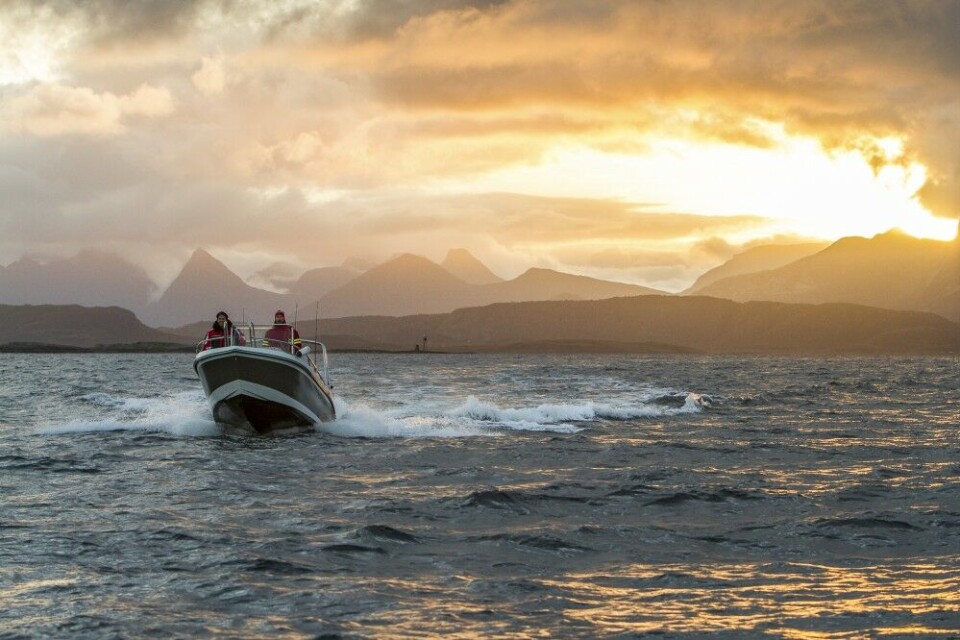 Illustrasjonsbilde. Fiske etter torsk, sei og kveite på utsiden av Steigen magiske morgenlys rett før mørketiden. Illustrasjonsbilde. Fiske etter torsk, sei og kveite på utsiden av Steigen magiske morgenlys rett før mørketiden.