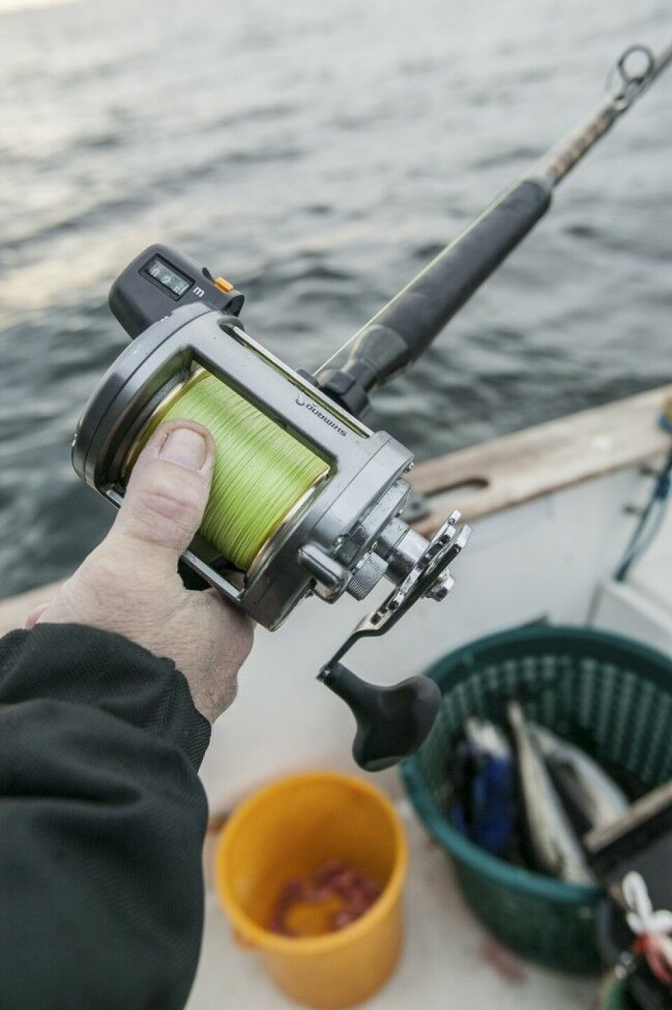 En snelle med telleverk gir deg full kontroll på dybden når du fisker pelagisk. Snører med dybdemarkering eller telleverk til å montere på stanga fungerer også bra, men er ikke like enkle. Her er en Shimano Tekota 700LC med telleverk i meter. En snelle med telleverk gir deg full kontroll på dybden når du fisker pelagisk. Snører med dybdemarkering eller telleverk til å montere på stanga fungerer også bra, men er ikke like enkle. Her er en Shimano Tekota 700LC med telleverk i meter.