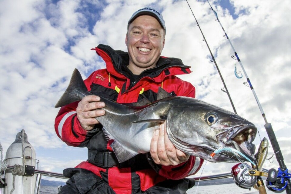 Denne røslige seien lot seg friste av noen turkise syntetfibre på en krok. Fisken ble tatt på om lag 100 meter. Mange flere ble fanget idet samme området i løpet av 2–3 timer, før det var stopp. Denne røslige seien lot seg friste av noen turkise syntetfibre på en krok. Fisken ble tatt på om lag 100 meter. Mange flere ble fanget idet samme området i løpet av 2–3 timer, før det var stopp.
