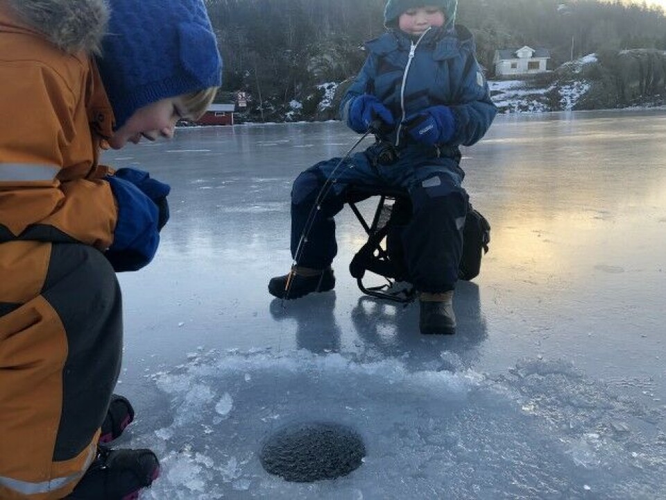 Mino og Iver Næss Kilde i full gang på Langangsfjorden. Mino og Iver Næss Kilde i full gang på Langangsfjorden.