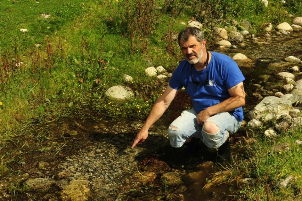 Restaureringsgeneral og fiskeutvalgsleder i NJFF- Rogaland, Knut Ståle Eriksen, er primus motor for Sjøørretprosjektet Rogaland. Restaureringsgeneral og fiskeutvalgsleder i NJFF- Rogaland, Knut Ståle Eriksen, er primus motor for Sjøørretprosjektet Rogaland.