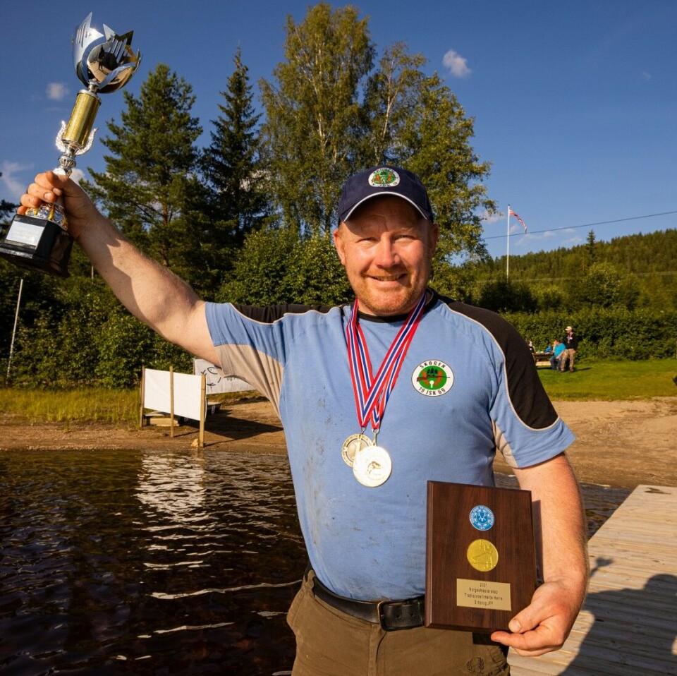 Gull til Berg fra Skogen