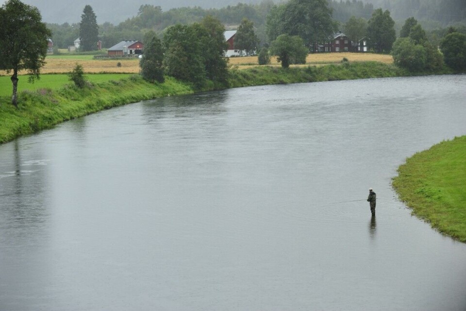 Storlakselva Surna vil få mer vann, noe elveeierlag og laksefiskere hilser velkommen. Storlakselva Surna vil få mer vann, noe elveeierlag og laksefiskere hilser velkommen.