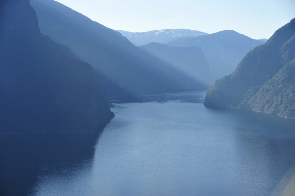 På Vestlandet har smolten lang vandringsvei i oppdrettsintensive fjorder. De indre elvene i Sognefjorden (bildet) er det området i landet som har den høyeste dødeligheten på utvandrende laksesmolt. På Vestlandet har smolten lang vandringsvei i oppdrettsintensive fjorder. De indre elvene i Sognefjorden (bildet) er det området i landet som har den høyeste dødeligheten på utvandrende laksesmolt.