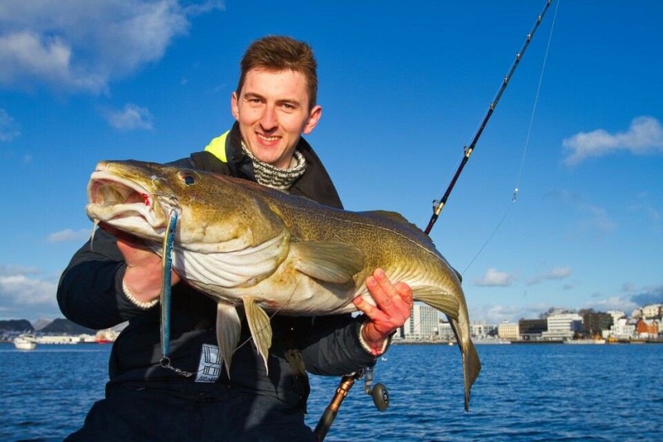 Thomas Flem jobber som guide på Actin i Ålesund og er en av gutta som tar med håpefulle fiskere ut på Borgundfjordfisket. Her poserer han med en flott 10 kg torsk rett utenfor Ålesund sentrum. Thomas Flem jobber som guide på Actin i Ålesund og er en av gutta som tar med håpefulle fiskere ut på Borgundfjordfisket. Her poserer han med en flott 10 kg torsk rett utenfor Ålesund sentrum.