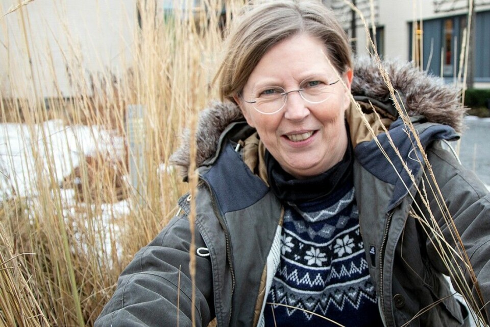 Dekan ved Høgskolen i Innlandet avdelingen Evenstad Maria Hörnell Willebrand bekrefter at et nytt forskningsprosjekt vedrørende fasan og rapphøns er på trappene i samarbeid med FKF. Dekan ved Høgskolen i Innlandet avdelingen Evenstad Maria Hörnell Willebrand bekrefter at et nytt forskningsprosjekt vedrørende fasan og rapphøns er på trappene i samarbeid med FKF.