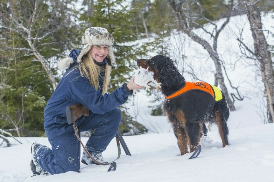 I tillegg til å være veterinær, har Anita Inderdal en bred kontaktflate i jakt- og jaktprøvemiljøer. Her på vinterjakt med gordonsetteren Harry.