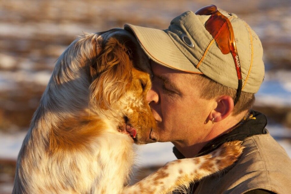 Et godt samarbeid fordrer gjensidig respekt og forståelse. Jo mer tid du bruker sammen med hunden, desto sterkere blir relasjonen mellom dere. Et godt samarbeid fordrer gjensidig respekt og forståelse. Jo mer tid du bruker sammen med hunden, desto sterkere blir relasjonen mellom dere.
