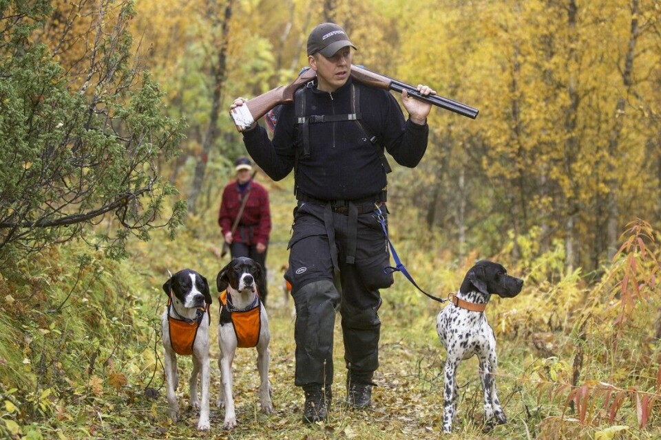 Å gå ved fot, eller lineføring, regnes som en basisøvelse du gjør lurt i å lære hunden skikkelig. Foto. Dag H. Karlsen Å gå ved fot, eller lineføring, regnes som en basisøvelse du gjør lurt i å lære hunden skikkelig. Foto. Dag H. Karlsen