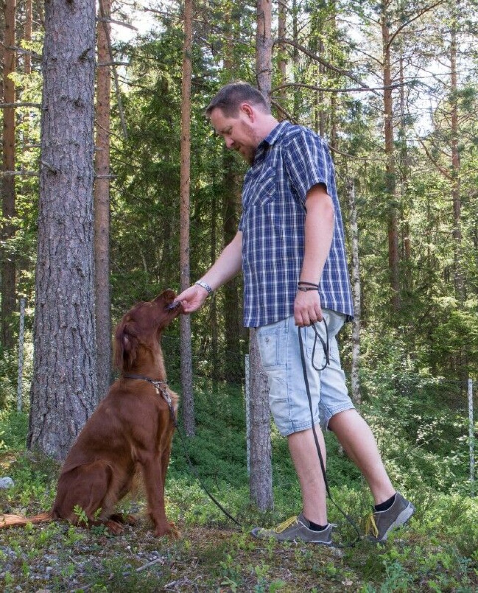 En jakthund skal læres opp til å være lydig i de mest krevende situasjoner. Som hundeeier må man derfor være forberedt på å legge ned mer arbeid, tid og tålmodighet enn ved dressur av andre raser, understreker hovedforfatter Roar Lundby. En jakthund skal læres opp til å være lydig i de mest krevende situasjoner. Som hundeeier må man derfor være forberedt på å legge ned mer arbeid, tid og tålmodighet enn ved dressur av andre raser, understreker hovedforfatter Roar Lundby.
