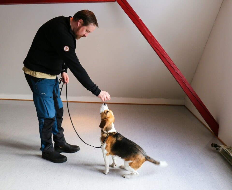 4. Legg på kommandoordet 4. Legg på kommandoordet