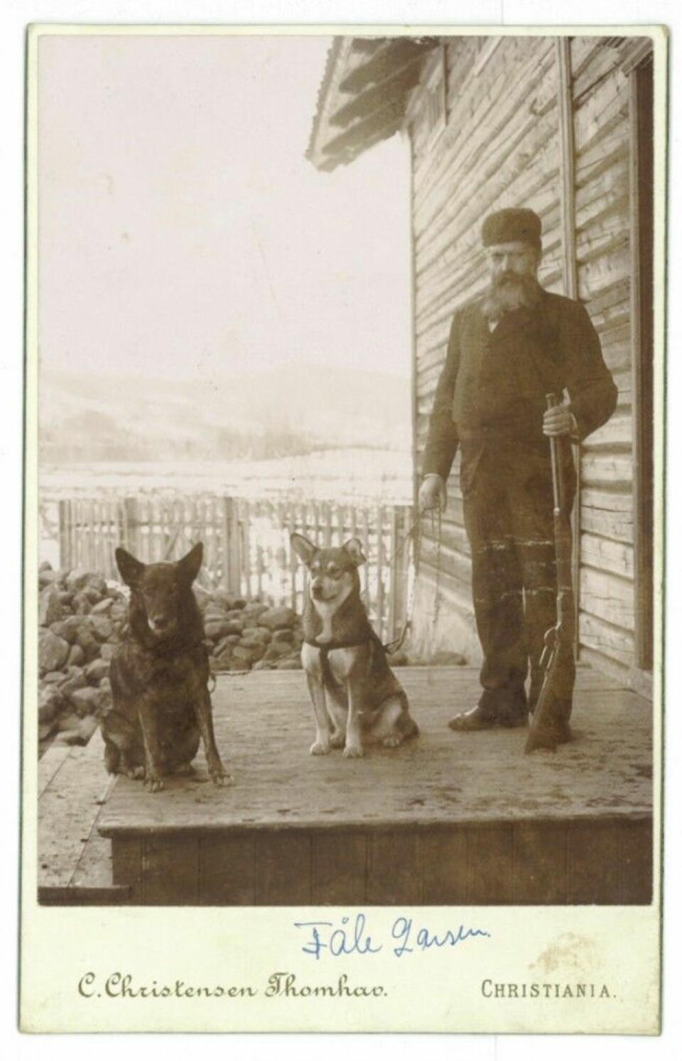 En av storjegerne i Søndre Land, Tåle Larsen, fotografert rundt 1890 med sine elghunder.