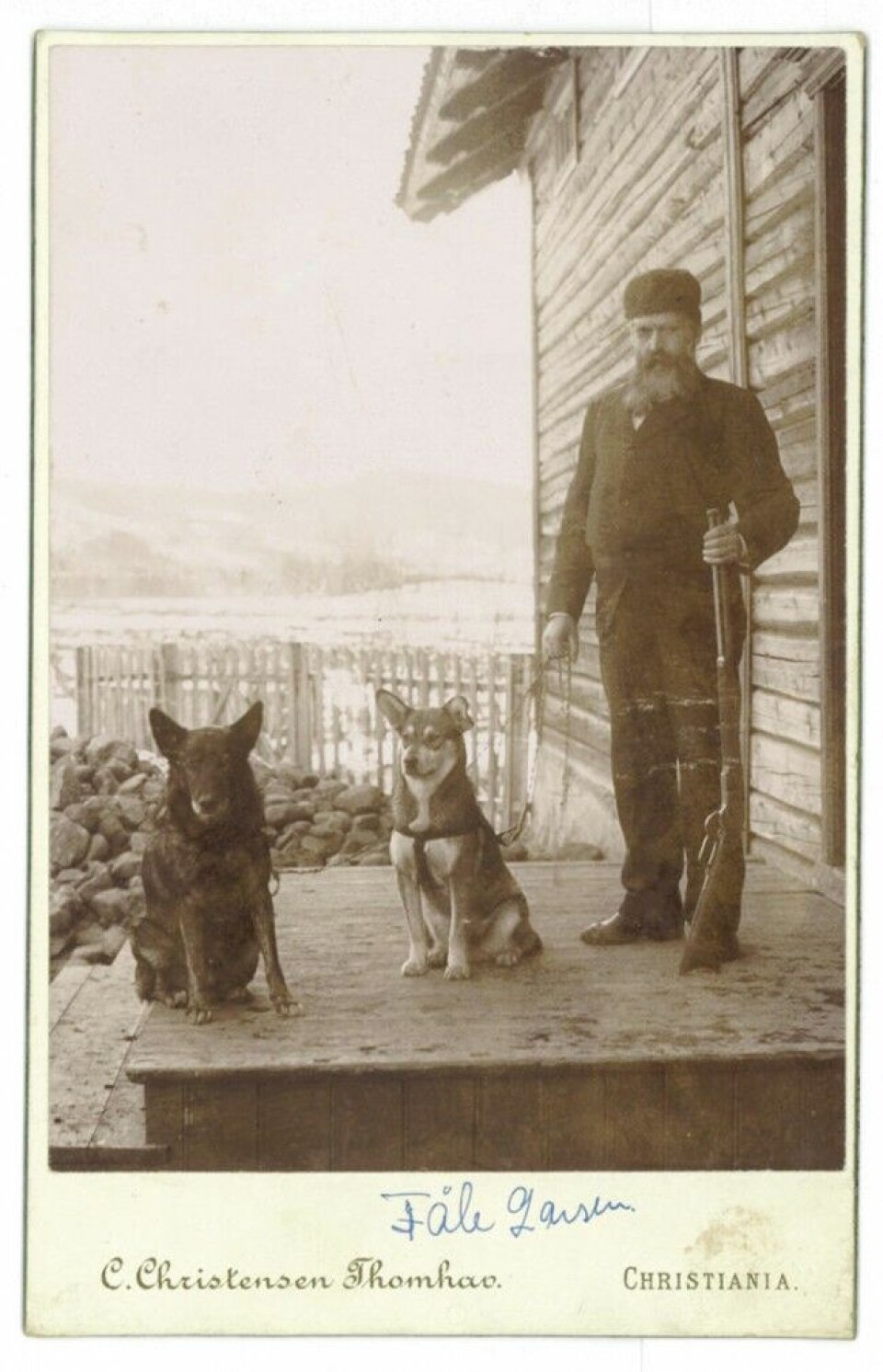 En av storjegerne i Søndre Land, Tåle Larsen, fotografert rundt 1890 med sine elghunder. En av storjegerne i Søndre Land, Tåle Larsen, fotografert rundt 1890 med sine elghunder.