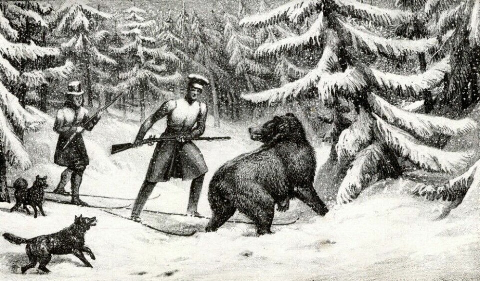 Briten L. Lloyd jakter bjørn i Norge og Sverige i 1828.