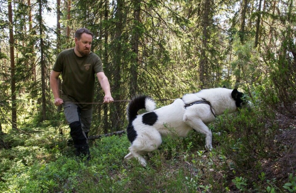 Hvor godt kjenner du reglene for ettersøk?