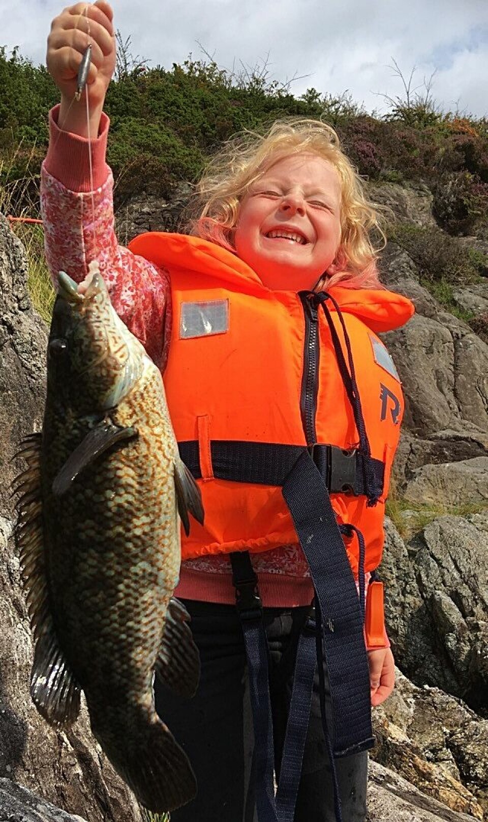 Langs svaberg og utenfor bryggeanlegg i hele Sør-Norge er det massevis av leppefisk, inkludert den råsterke berggylta. Dette er en art som villig tar naturlig agn på grunt vann.