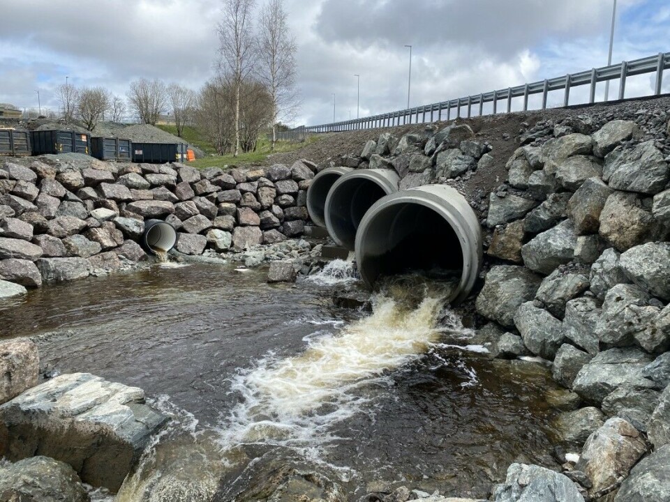 Veianlegg ferdig i 2019 velger tre underdimensjonerte betongrør som løsning for å få fisk og vann fra forbi veien. Vanskelige vandringsforhold for fisken, med montering av terskler i rør og oppgraving av kulper nedstrøms som påkrevde nødløsninger i etterkant. Hvorfor valgte man ikke bevart elvebunn og halvkulvert med stor diameter som løsning her? Botngårdselva i Bjugn kommune. Fylkesveg 710. Veianlegg ferdig i 2019 velger tre underdimensjonerte betongrør som løsning for å få fisk og vann fra forbi veien. Vanskelige vandringsforhold for fisken, med montering av terskler i rør og oppgraving av kulper nedstrøms som påkrevde nødløsninger i etterkant. Hvorfor valgte man ikke bevart elvebunn og halvkulvert med stor diameter som løsning her? Botngårdselva i Bjugn kommune. Fylkesveg 710.