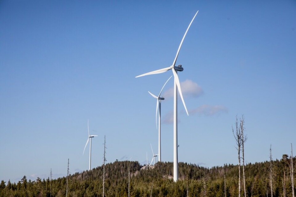 Den seinere tid har det rast en hissig debatt rundt bygging av et stort antall vindkraftanlegg i urørt natur. Det er summen av alle våre inngrep som presser dyrelivet fra skanse til skanse. Her fra Marker vindpark i tidligere Østfold fylke. Den seinere tid har det rast en hissig debatt rundt bygging av et stort antall vindkraftanlegg i urørt natur. Det er summen av alle våre inngrep som presser dyrelivet fra skanse til skanse. Her fra Marker vindpark i tidligere Østfold fylke.