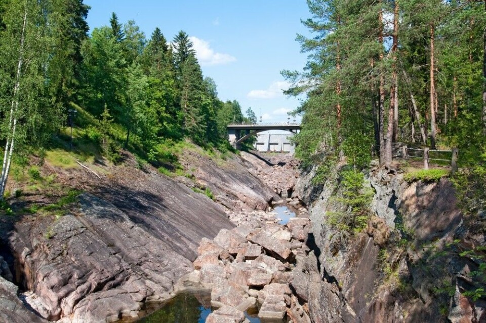 Uten vann, ingen fisk. Vannkraftutbygging fører til tap av leveområder. Uten vann, ingen fisk. Vannkraftutbygging fører til tap av leveområder.