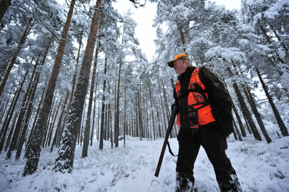 Snøen ligger drapert over skogen. Lokalforeningsleder Erik Andreassen tar et sveip etter skogsfuglen. Snøen ligger drapert over skogen. Lokalforeningsleder Erik Andreassen tar et sveip etter skogsfuglen.