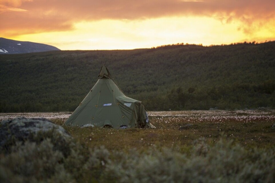 Lavvoleir på myrdunene i svensk Lappland. Livet er helt ålreit. Lavvoleir på myrdunene i svensk Lappland. Livet er helt ålreit.