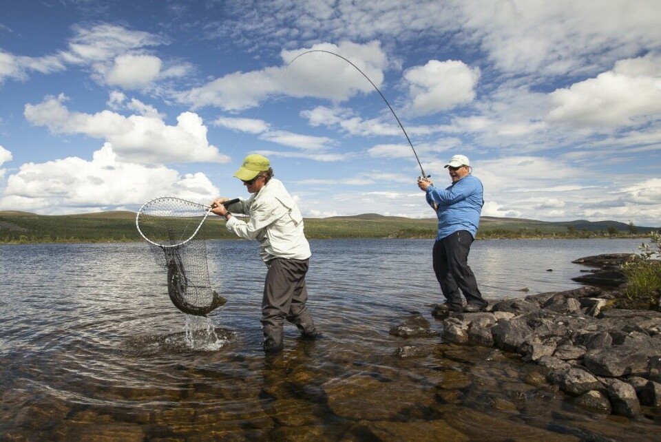 Ørretjakt i svensk Lappland