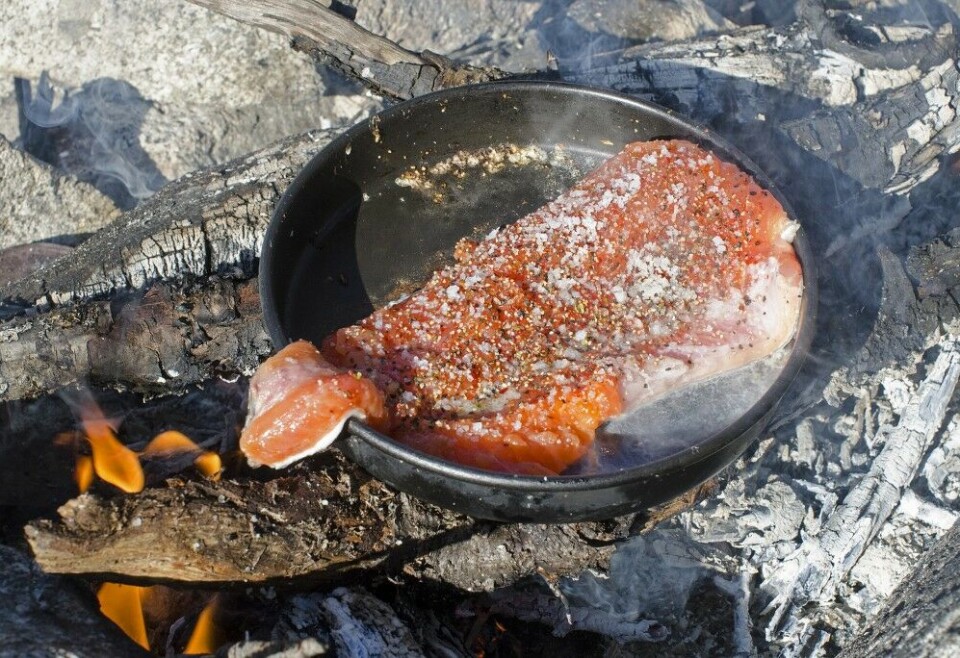 Du finner flotte ørretvann i kort avstand fra de fleste større byene i Norge. Hvem trenger vel restauranter da? Du finner flotte ørretvann i kort avstand fra de fleste større byene i Norge. Hvem trenger vel restauranter da?