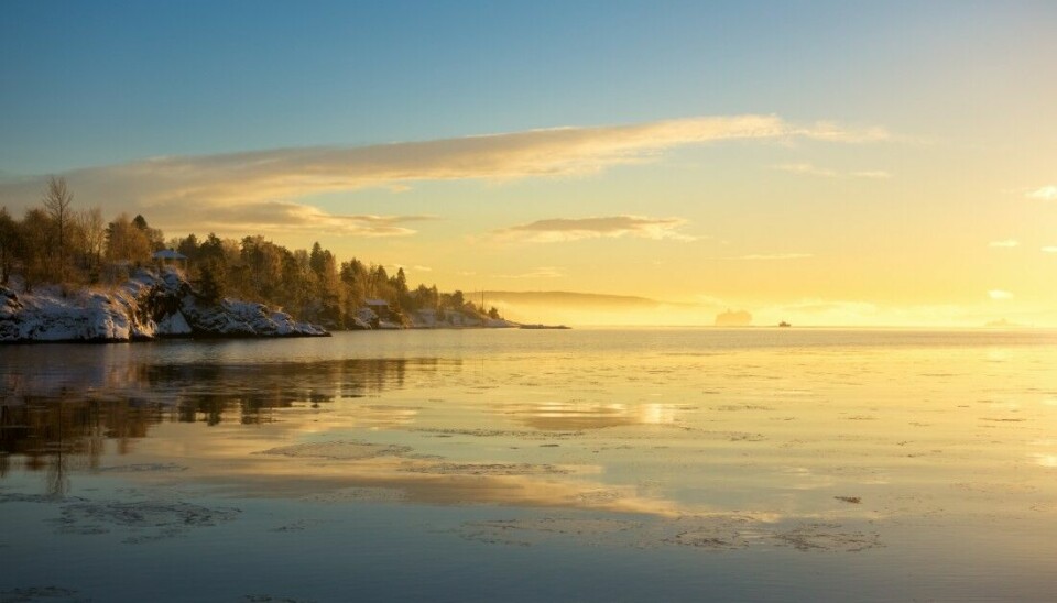 Jevnt over minker forekomsten av miljøgifter langs norskekysten. Men i Oslofjorden er det en økning av noen giftige metaller, viser en ny rapport laget på oppdrag av Miljødirektoratet.