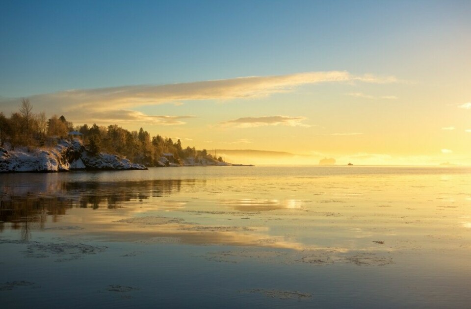 Miljødirektoratet har utarbeidet en handlingsplan for å redde miljøtilstanden i Oslofjorden.