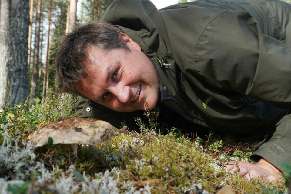 Tommy Østhagen mener altfor mye sopp og nyttevekster går til spille i norske skoger.