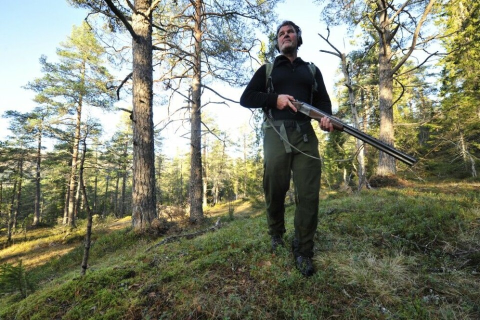Tilgjengeligheten til jakt og fiske har også blitt bedre, etter at Statskog kjøpte eiendom på til sammen 1,1 millioner dekar av industribedriften Orkla i 2010. Tilgjengeligheten til jakt og fiske har også blitt bedre, etter at Statskog kjøpte eiendom på til sammen 1,1 millioner dekar av industribedriften Orkla i 2010.