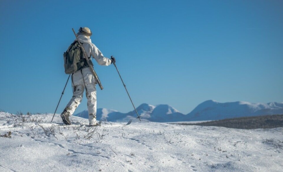 Jakt seinhaustes og vinter gjev ofte store naturopplevingar, men sjeldnare mange ryper. Jakt seinhaustes og vinter gjev ofte store naturopplevingar, men sjeldnare mange ryper.