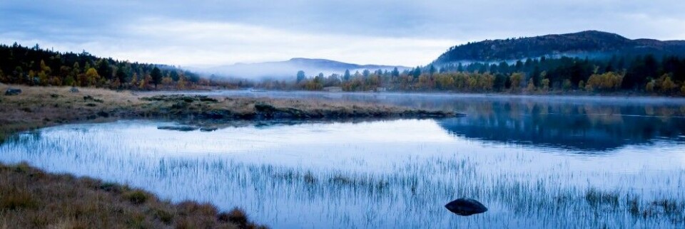 Grytidlig morgen i Gausdal vestfjell og Langsua nasjonalpark – opprettet i 2011. Grytidlig morgen i Gausdal vestfjell og Langsua nasjonalpark – opprettet i 2011.