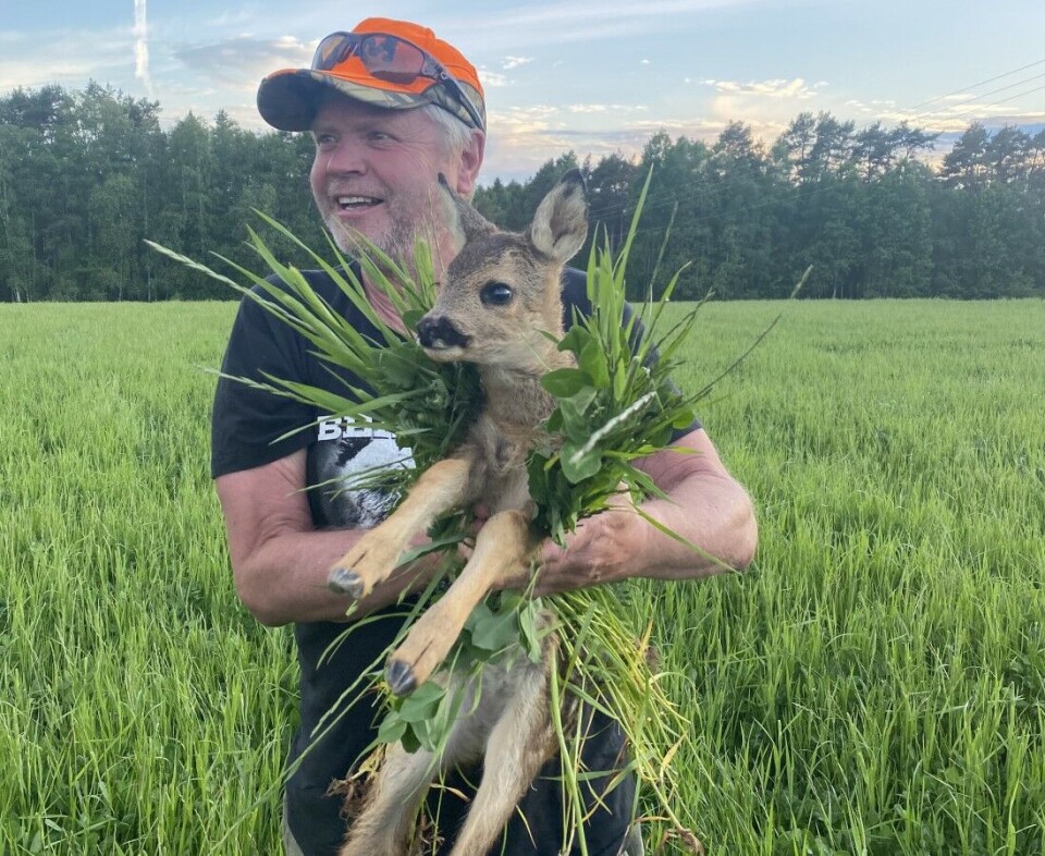 Asbjørn Ness fra Trøgstad med en av killingene som ble reddet i Indre Østfold i fjor. Asbjørn Ness fra Trøgstad med en av killingene som ble reddet i Indre Østfold i fjor.