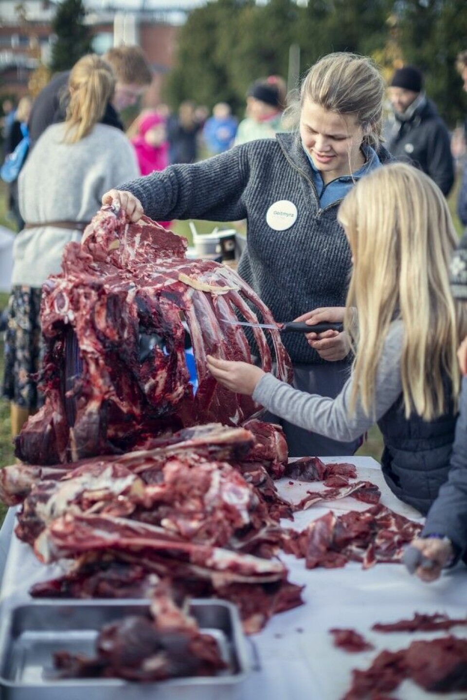 – Barn er forskjellige, men de flest vil venne fort seg til å behandle kjøtt, sier Andreas Viestad.