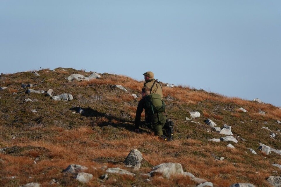 Hjortejakta på Jura kan sammenlignes med villreinjakt i Norge. Kunsten er å utnytte de søkk og koller som terrenget byr på. Hjortejakta på Jura kan sammenlignes med villreinjakt i Norge. Kunsten er å utnytte de søkk og koller som terrenget byr på.
