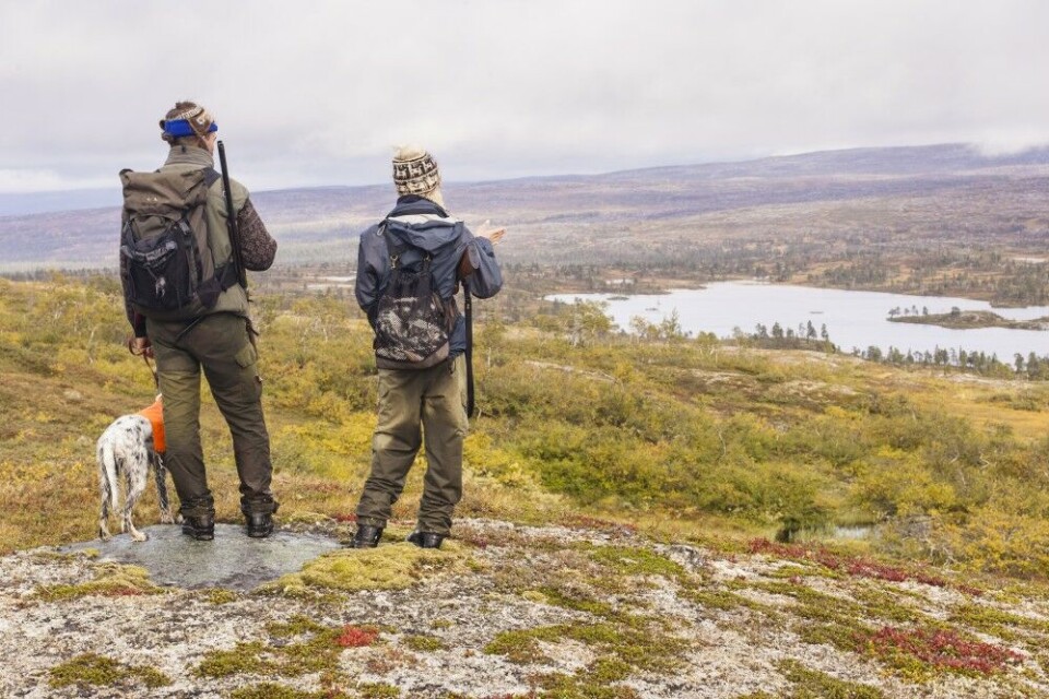 Studer kartet, og bruk tid på å bli kjent i terrenget. Iblant kan det lønne seg å søke litt bort fra de mest lettjaktede områdene, i hvert fall hvis du ikke har terrenget for deg selv. Studer kartet, og bruk tid på å bli kjent i terrenget. Iblant kan det lønne seg å søke litt bort fra de mest lettjaktede områdene, i hvert fall hvis du ikke har terrenget for deg selv.