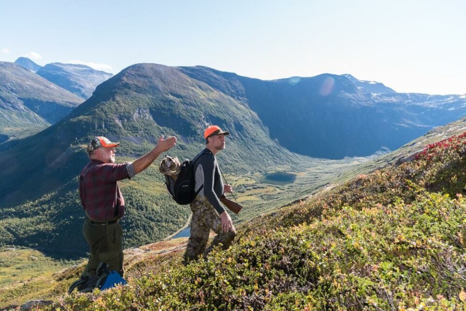 Rødalen er en ganske vid U-dal med bratte fjellsider. Rødalen er en ganske vid U-dal med bratte fjellsider.