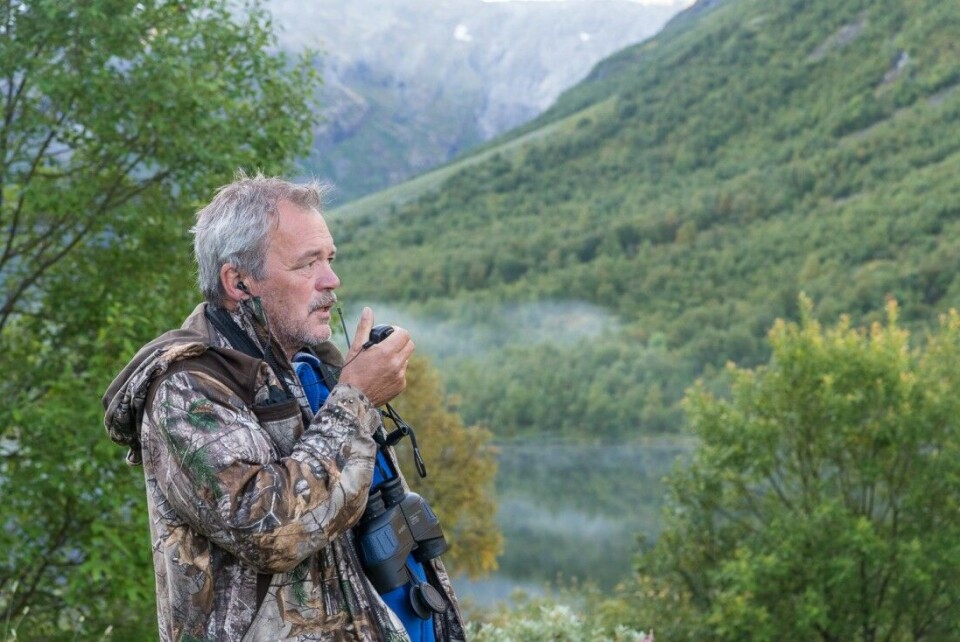 Hjortejakt med dirigent