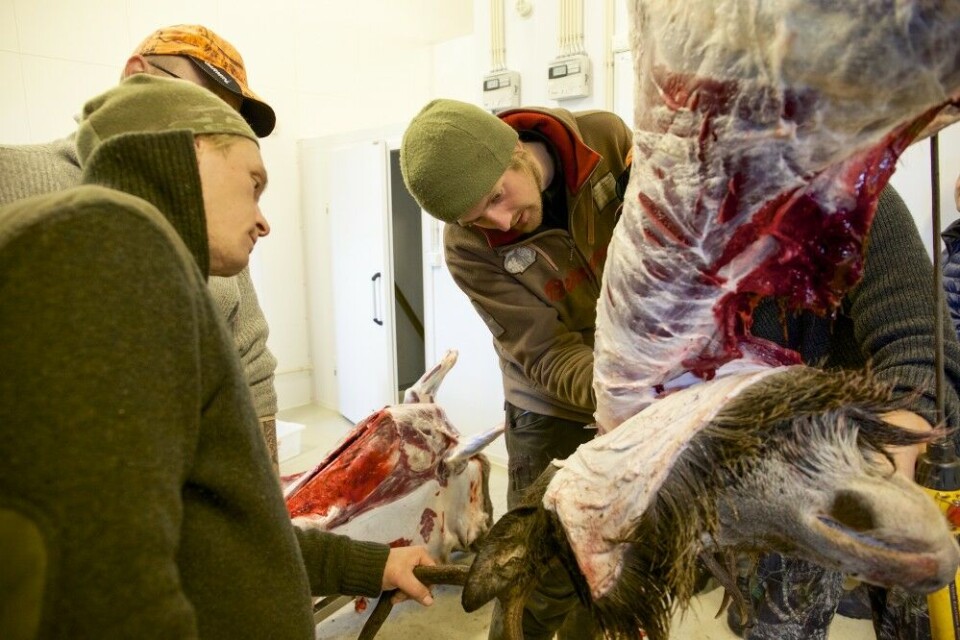 Brølejaktkurset er en god blanding av kunnskapsoverføring og opplevelse. Eivind Lurås viser vei i slakteriet. Brølejaktkurset er en god blanding av kunnskapsoverføring og opplevelse. Eivind Lurås viser vei i slakteriet.