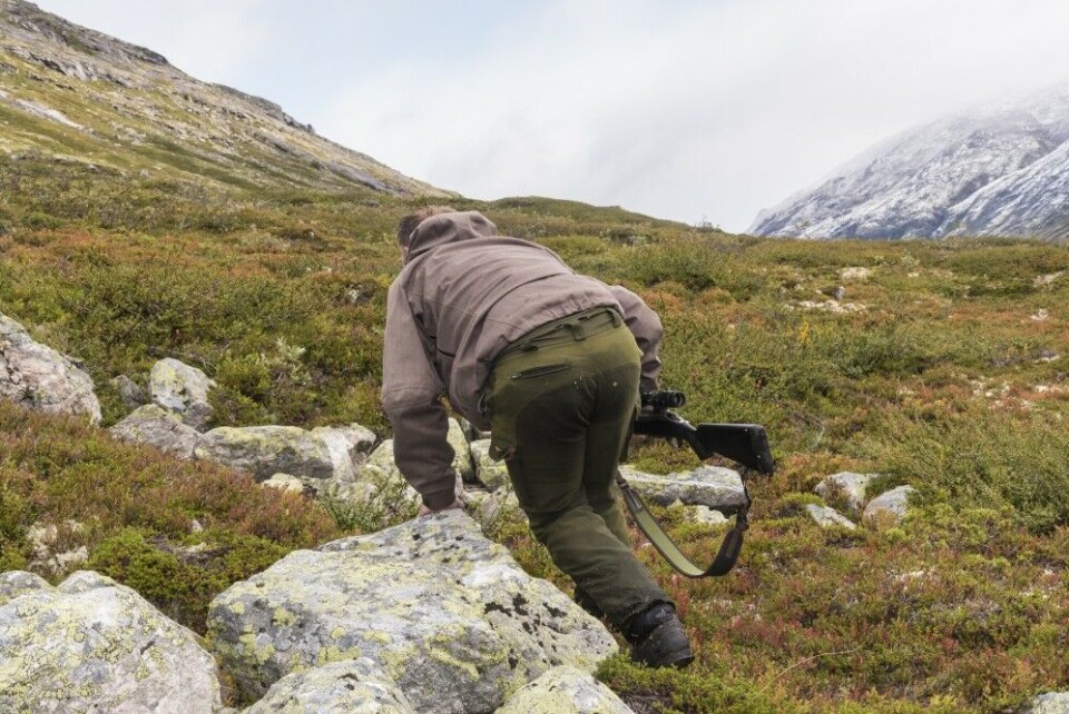 Smygingen går greit, til det kommer et vindkast … Smygingen går greit, til det kommer et vindkast …