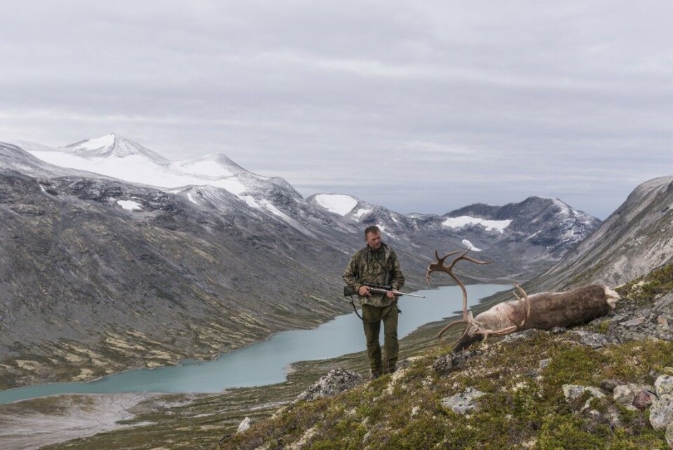 Det er ikke mange forunt å felle en storbukk i slike omgivelser. Det er ikke mange forunt å felle en storbukk i slike omgivelser.
