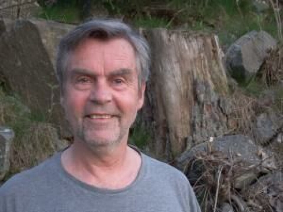 Tor Punsvik mener regjeringen har parkert miljøforvaltningen på tribunen i debatten om sau som potensiell smittespreder av CWD fra Nordfjella. Tor Punsvik mener regjeringen har parkert miljøforvaltningen på tribunen i debatten om sau som potensiell smittespreder av CWD fra Nordfjella.