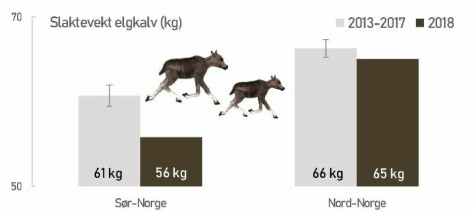 En tøff start på livet for elgkalv i Sør-Norge 2018. Figuren er basert på data fra 240 kommuner, og mer enn 6000 kalver per år. Den loddrette lille streken på søylene for 2013-2017 angir hvor mye vektene normalt varierer med fra år til år.