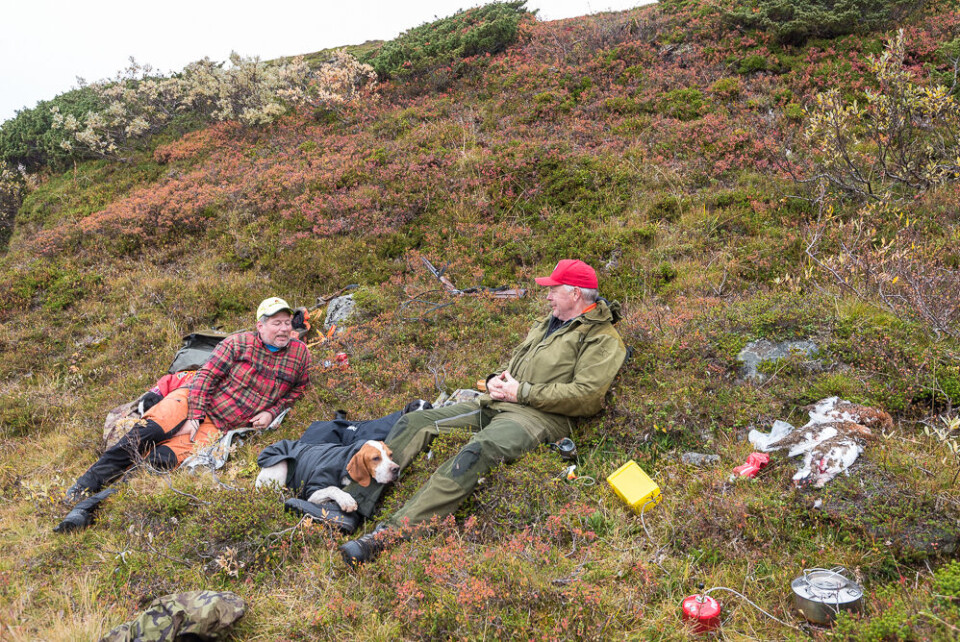 En time eller to på ryggen hører med i rypefjellet. En time eller to på ryggen hører med i rypefjellet.