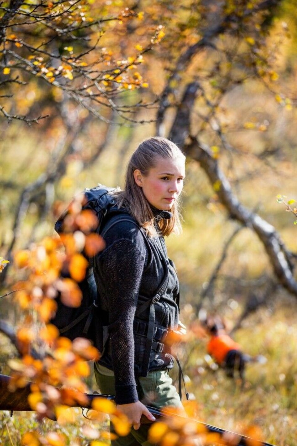 Landets storbyjegere har tapt flere viktige kamper de siste åra, bl.a en strid om tilgangen i statsallmenninger. Ill. Landets storbyjegere har tapt flere viktige kamper de siste åra, bl.a en strid om tilgangen i statsallmenninger. Ill.