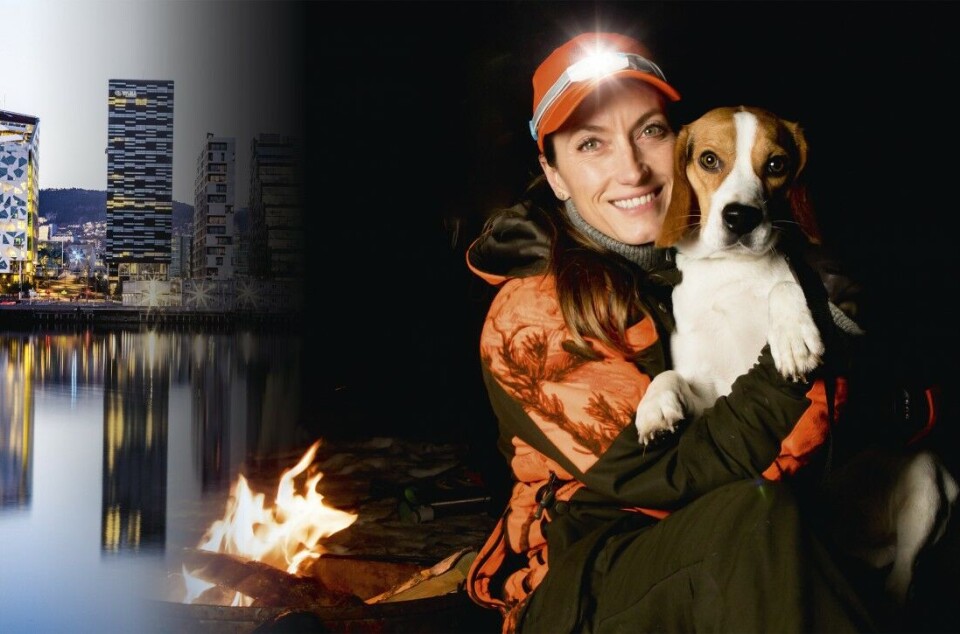 Jegerandelen er lavest i de tettest befolkede områdene i Norge. Samtidig er potensialet for rekruttering enormt. Therese Nordling og beagle Tøffen er to storbyjegere som trives med å jakte i Oslomarka. Jegerandelen er lavest i de tettest befolkede områdene i Norge. Samtidig er potensialet for rekruttering enormt. Therese Nordling og beagle Tøffen er to storbyjegere som trives med å jakte i Oslomarka.